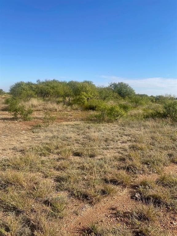 30 acres in Jones County - photo 6