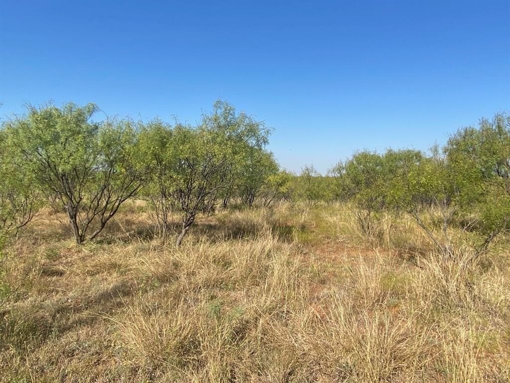 30 acres in Jones County - photo 20