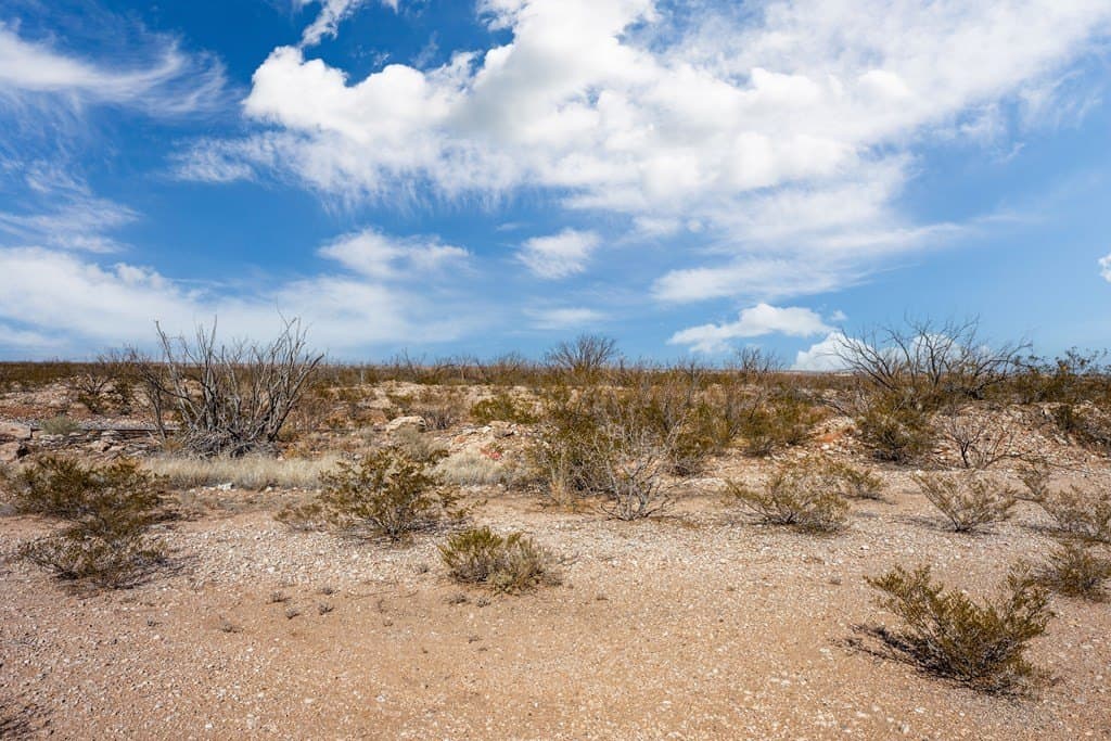 20.42 acres in Ward County - photo 3