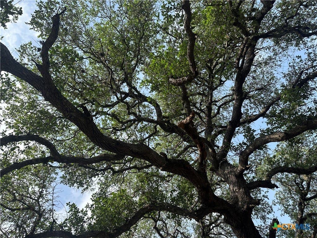 10.77 acres in Goliad County - photo 8