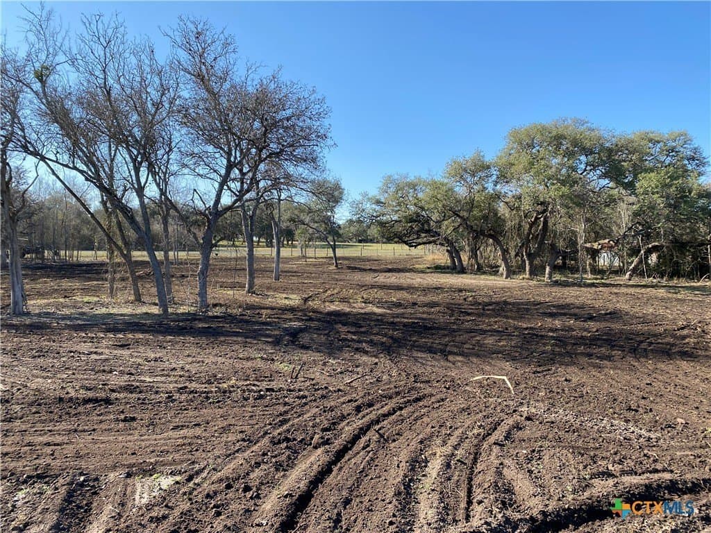 10.77 acres in Goliad County - photo 4