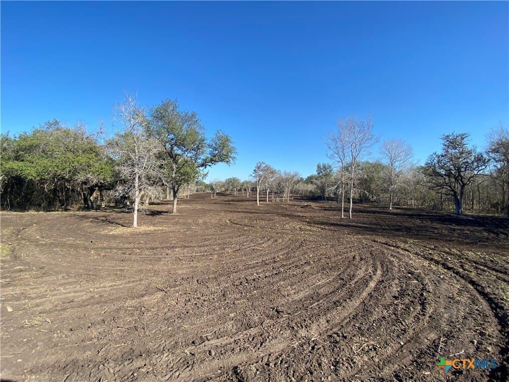 10.77 acres in Goliad County - photo 3