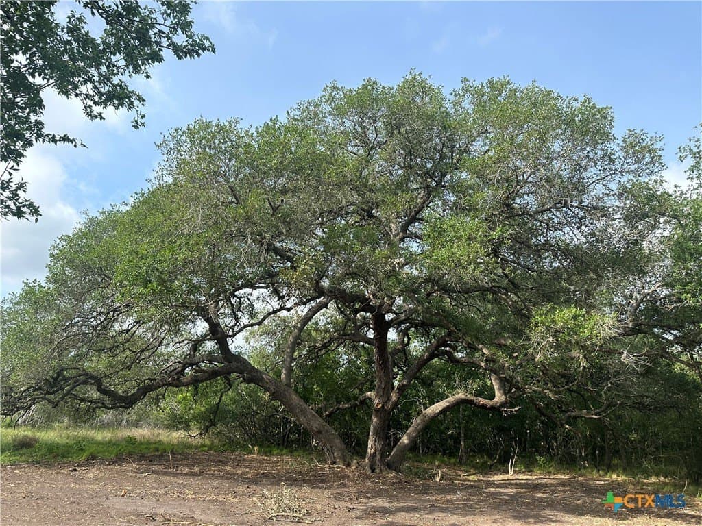 10.77 acres in Goliad County - photo 2