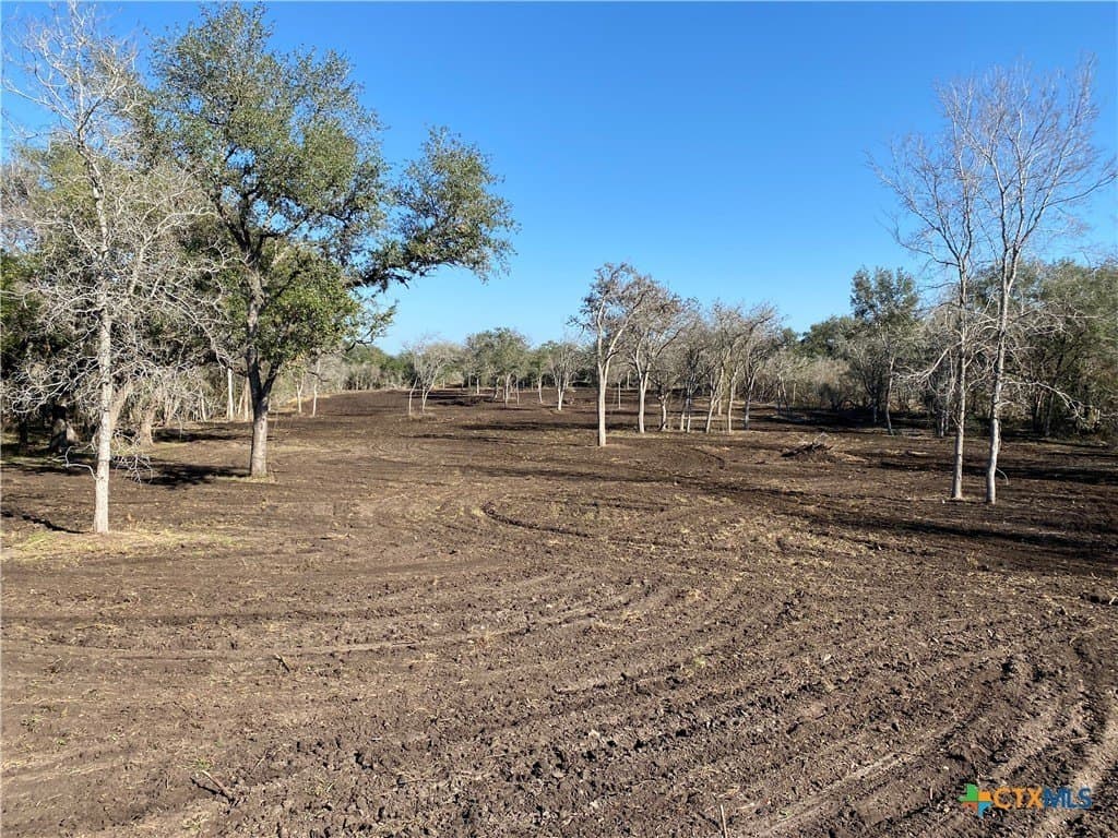 10.77 acres in Goliad County - photo 6