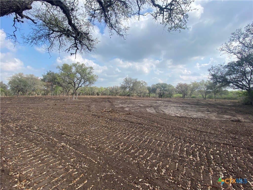 10.77 acres in Goliad County - photo 5