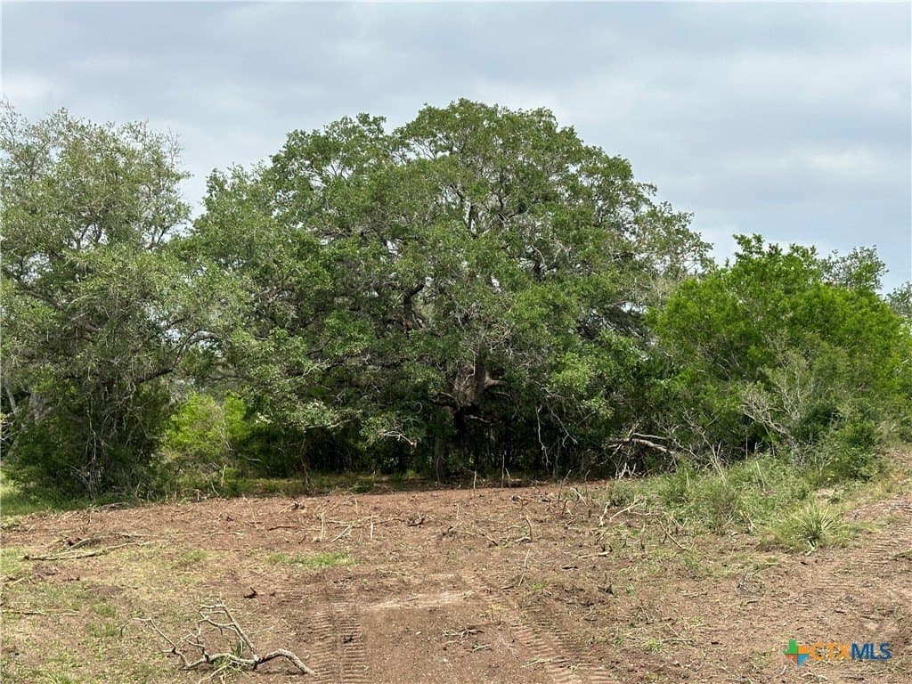 10.77 acres in Goliad County - photo 9