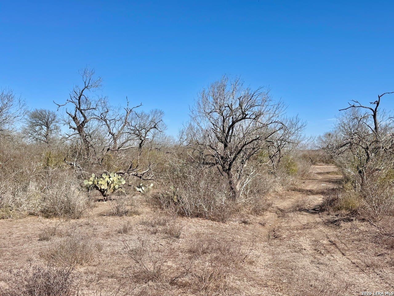 28.47 acres in Atascosa County - photo 20