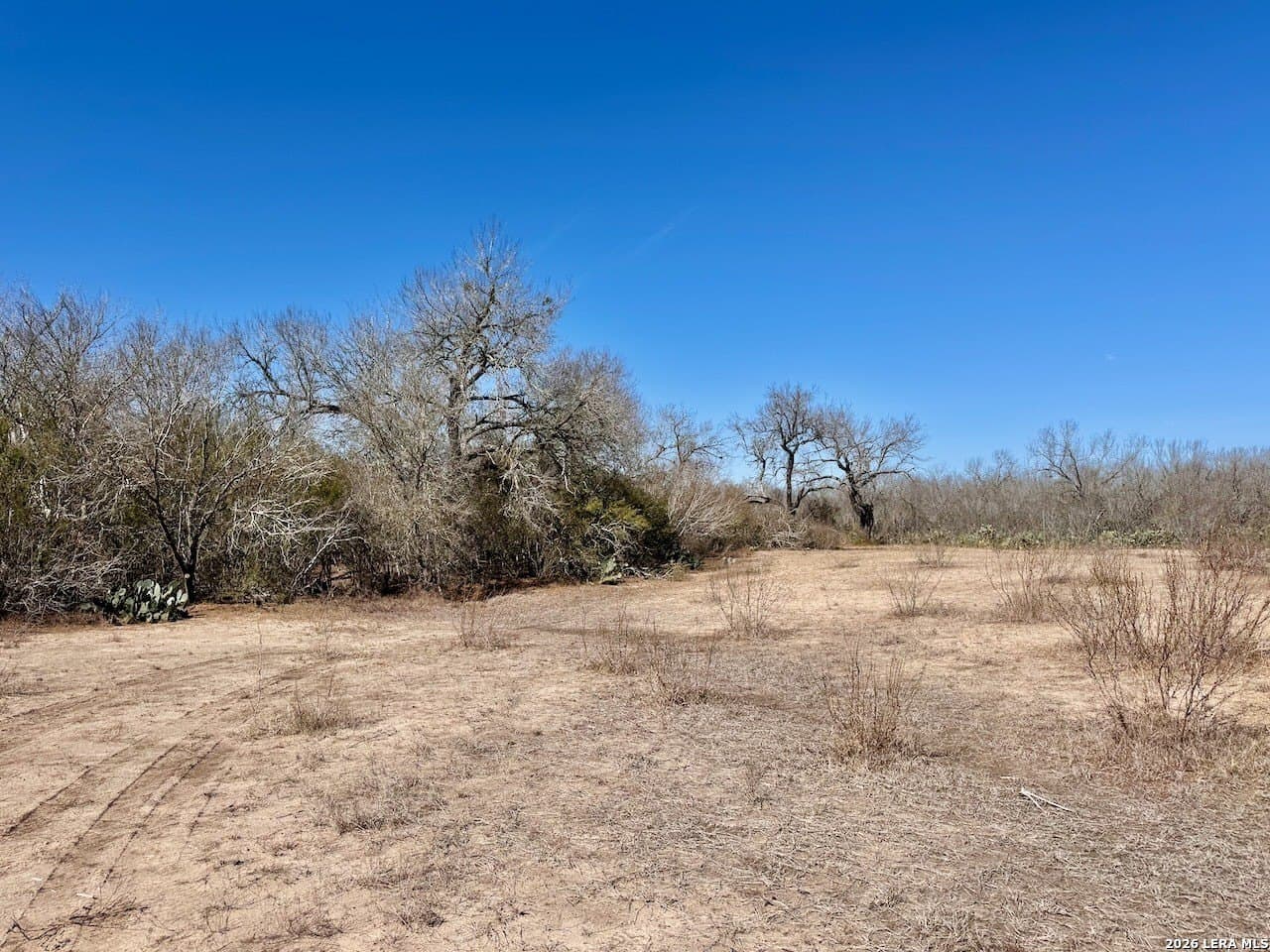 28.47 acres in Atascosa County - photo 15