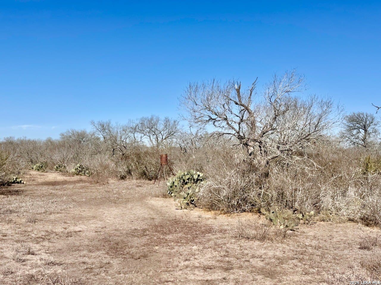 28.47 acres in Atascosa County - photo 21