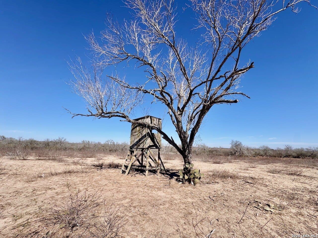 28.47 acres in Atascosa County - photo 18