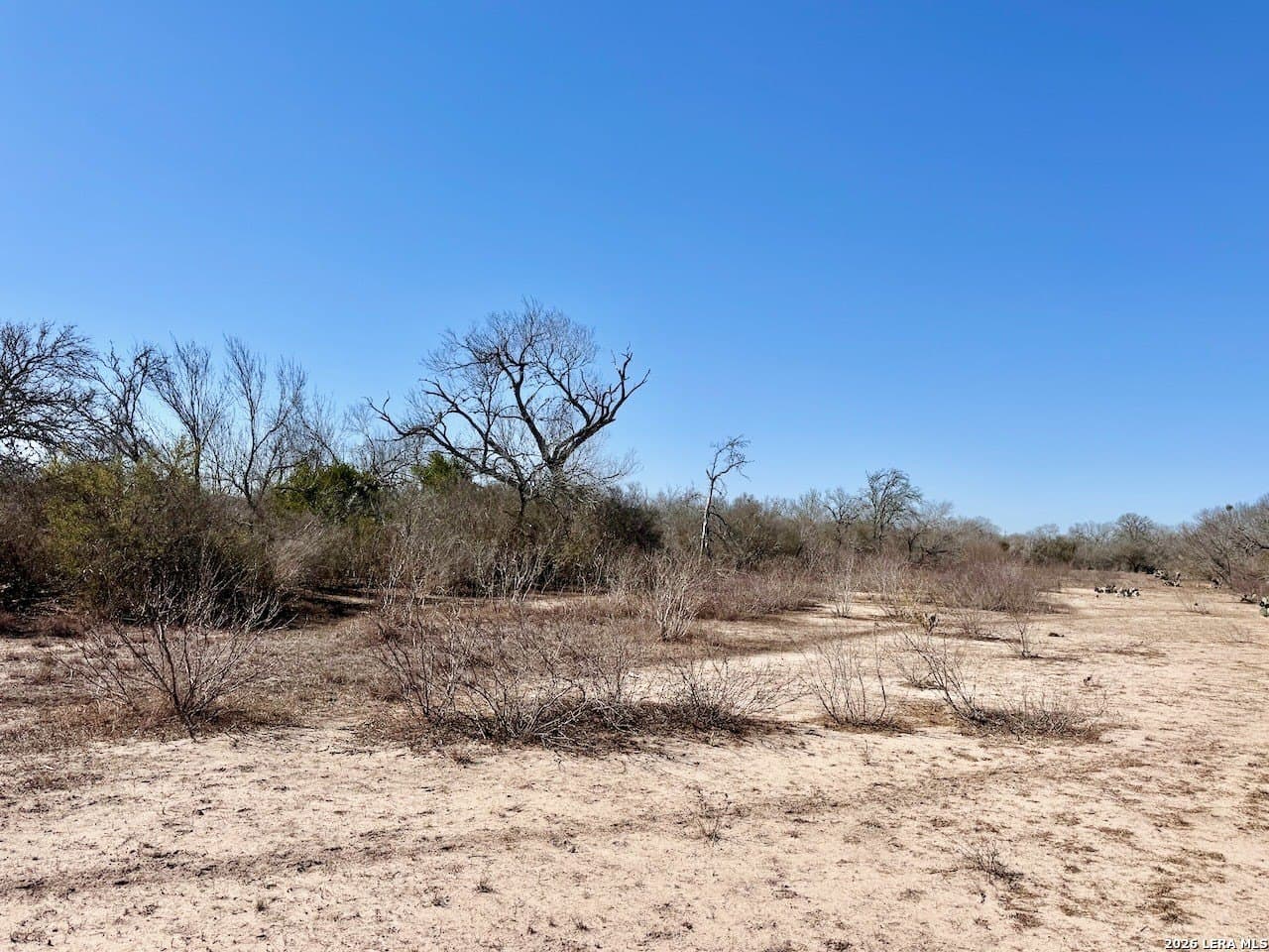 28.47 acres in Atascosa County - photo 17