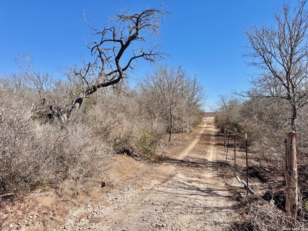 28.47 acres in Atascosa County - photo 14