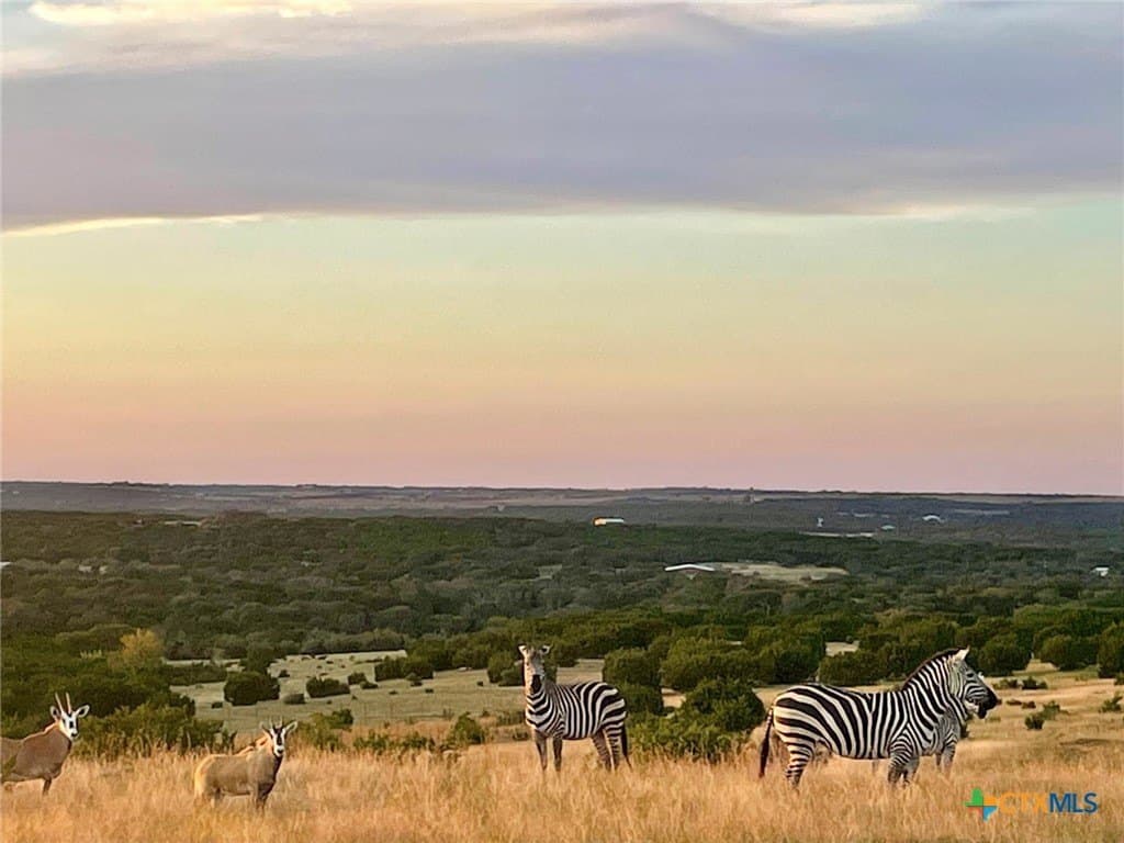 207 acres in Burnet County - photo 2