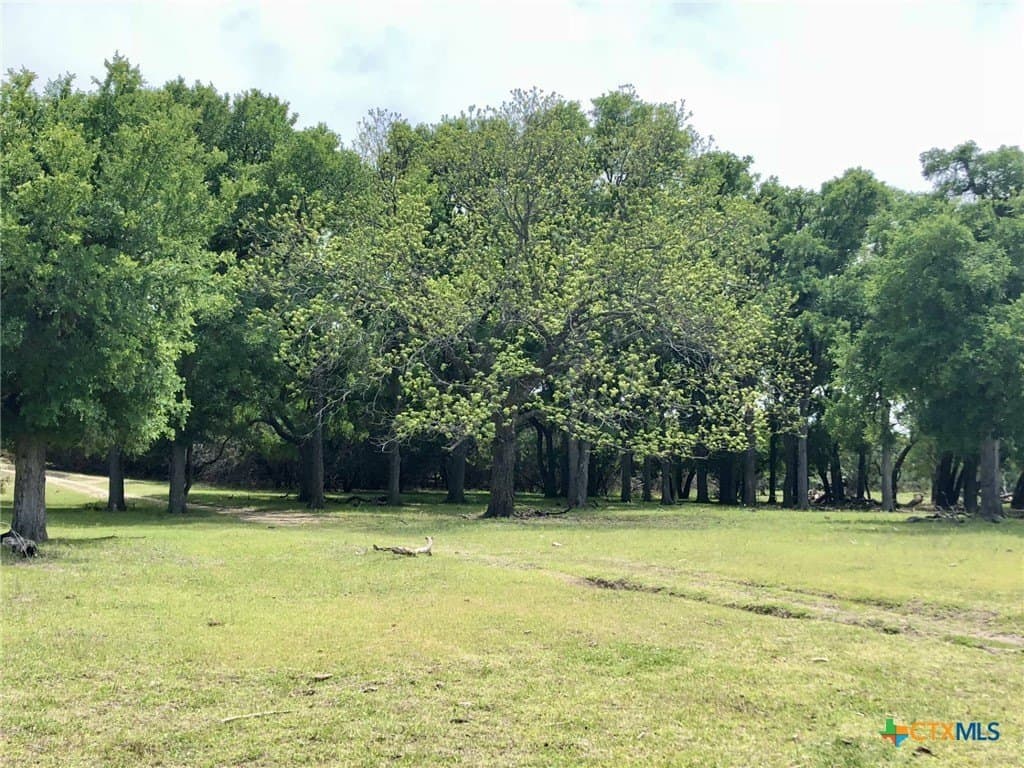 207 acres in Burnet County - photo 30