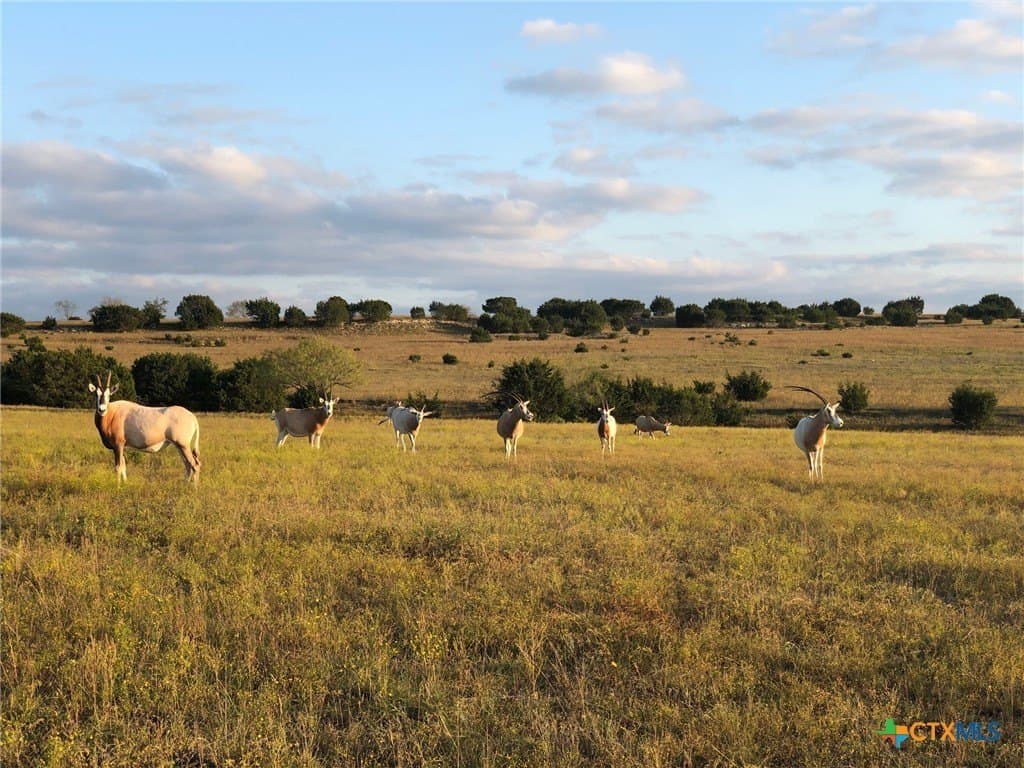 207 acres in Burnet County - photo 8