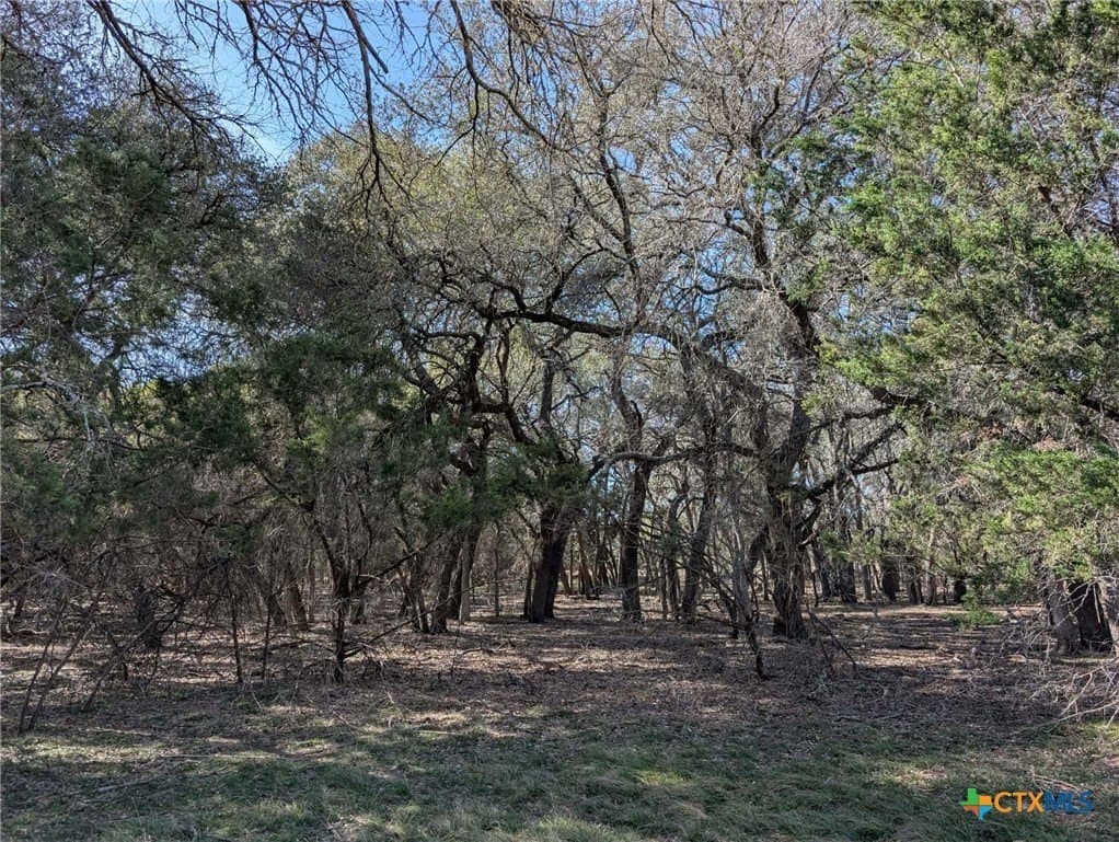 207 acres in Burnet County - photo 17