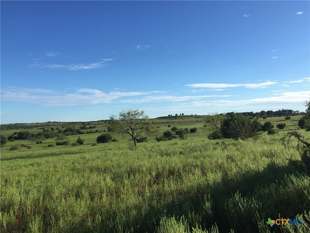 207 acres in Burnet County - photo 6
