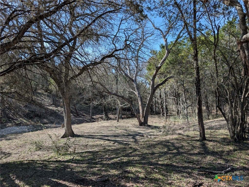 207 acres in Burnet County - photo 21