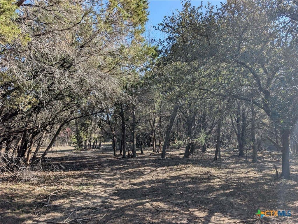 207 acres in Burnet County - photo 19