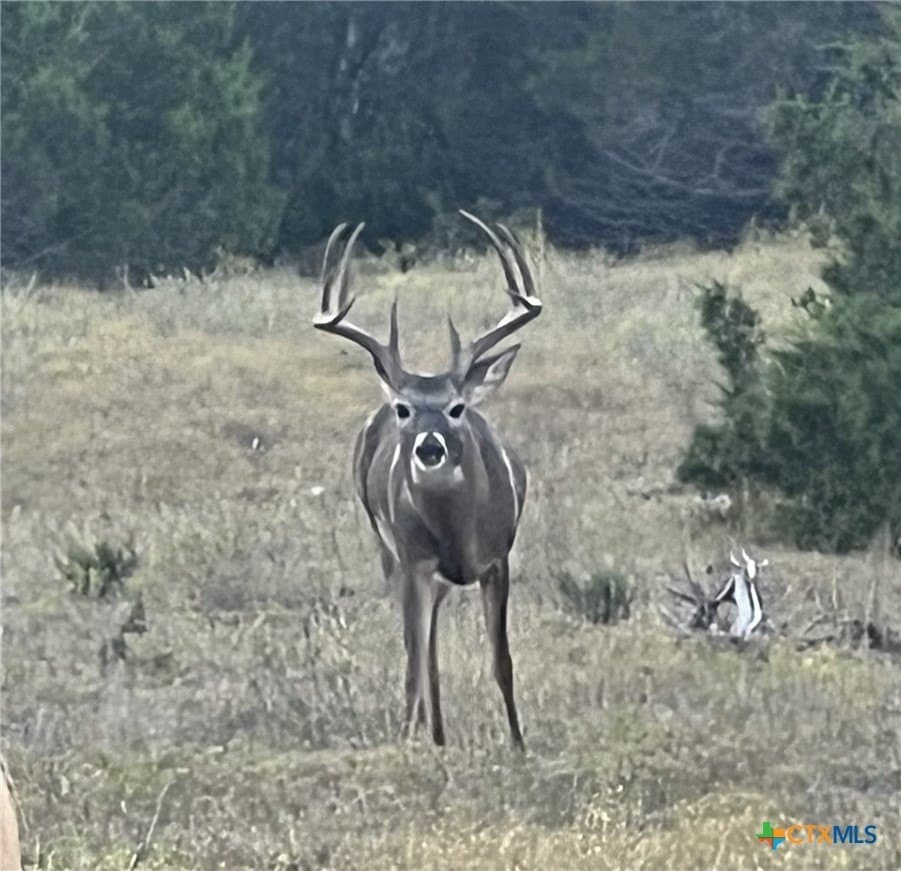 207 acres in Burnet County - photo 29