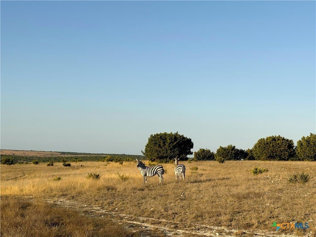 207 acres in Burnet County - photo 3