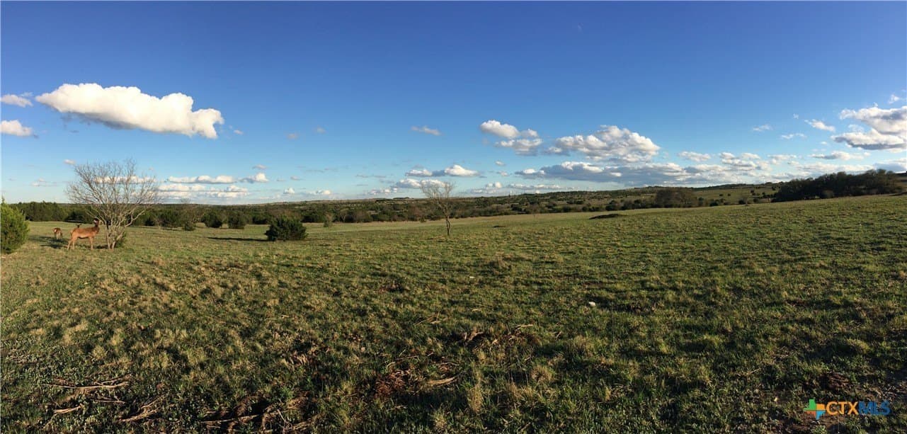 207 acres in Burnet County - photo 7