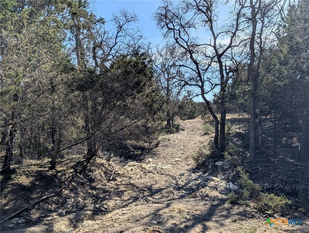 207 acres in Burnet County - photo 22