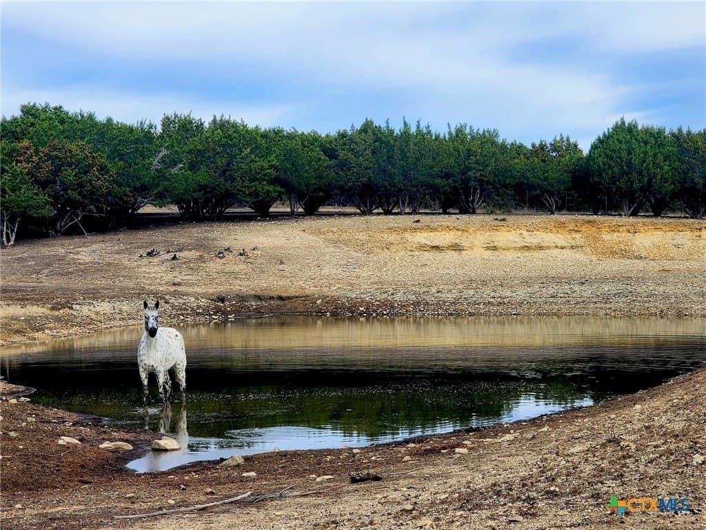 207 acres in Burnet County - photo 4