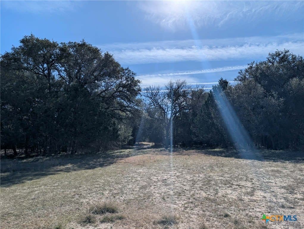 207 acres in Burnet County - photo 15