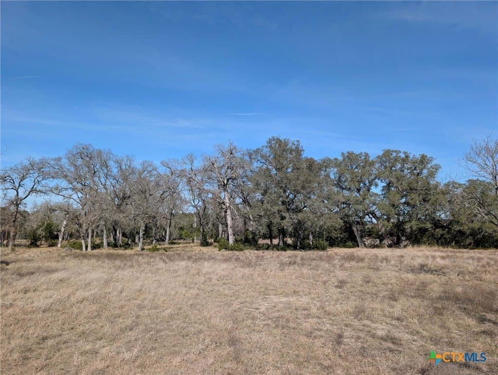 207 acres in Burnet County - photo 14