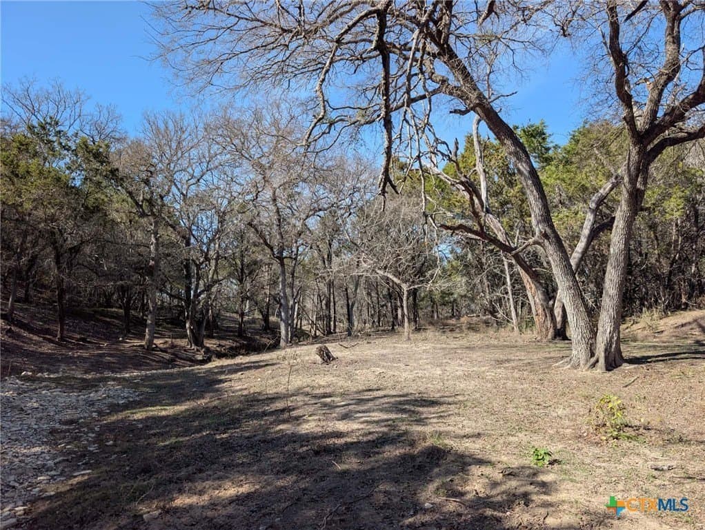 207 acres in Burnet County - photo 20