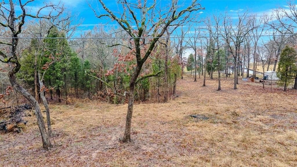 1.96 acres in Henderson County - photo 6