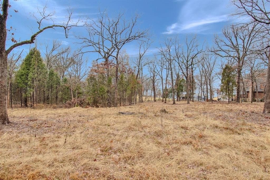 1.96 acres in Henderson County - photo 4