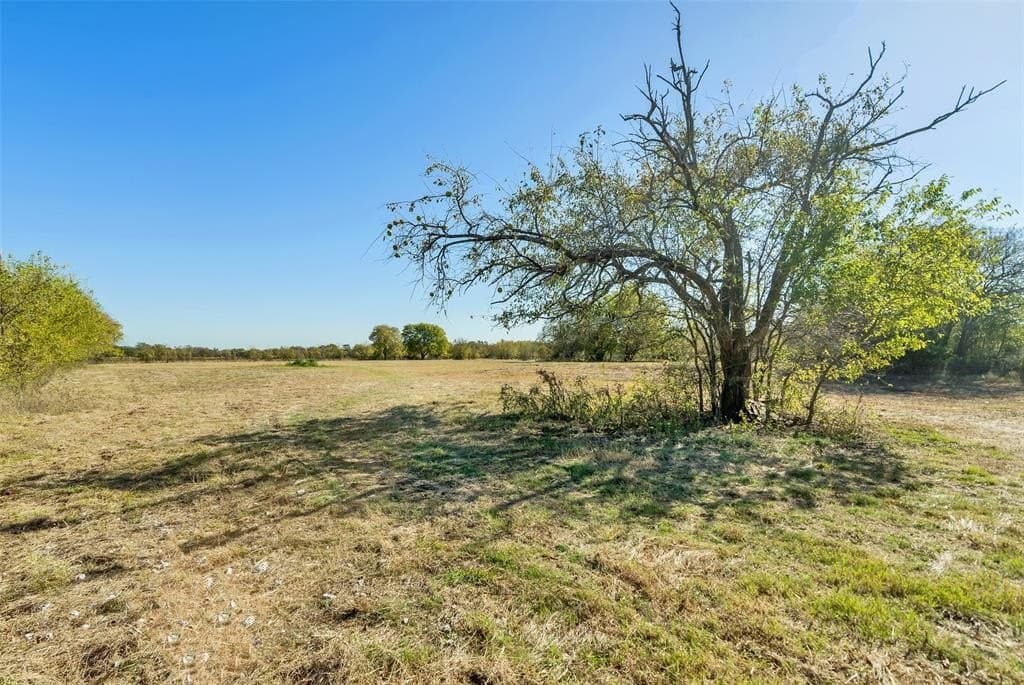 16.53 acres in Fannin County - photo 24