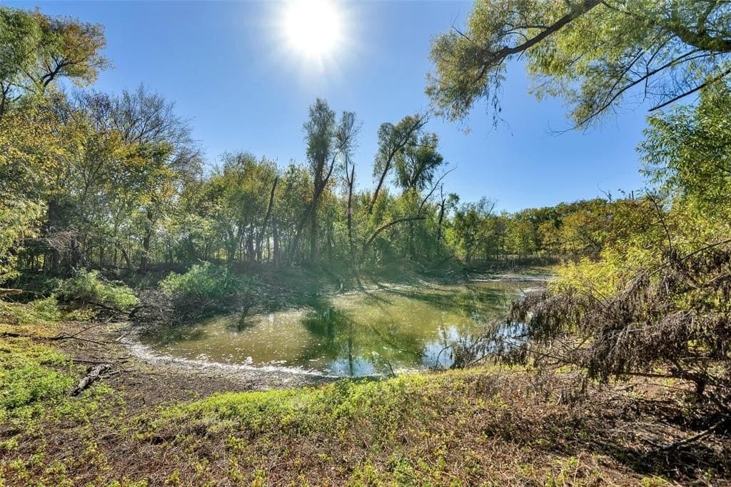 16.53 acres in Fannin County - photo 5