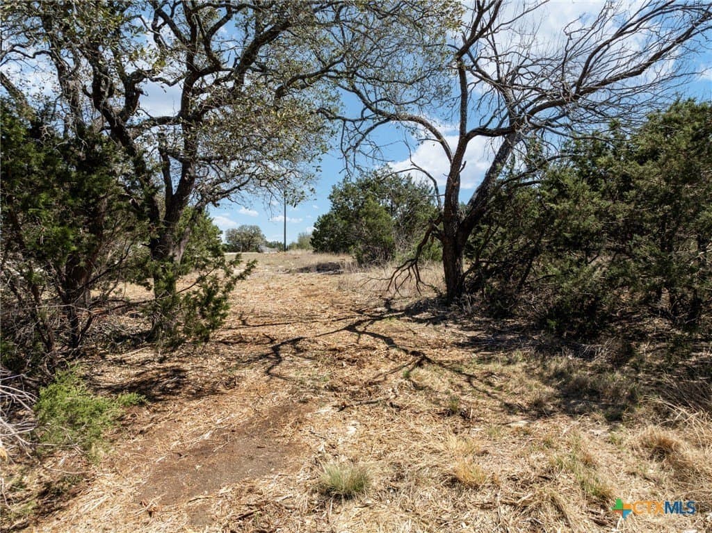 10.1 acres in Hamilton County - photo 9