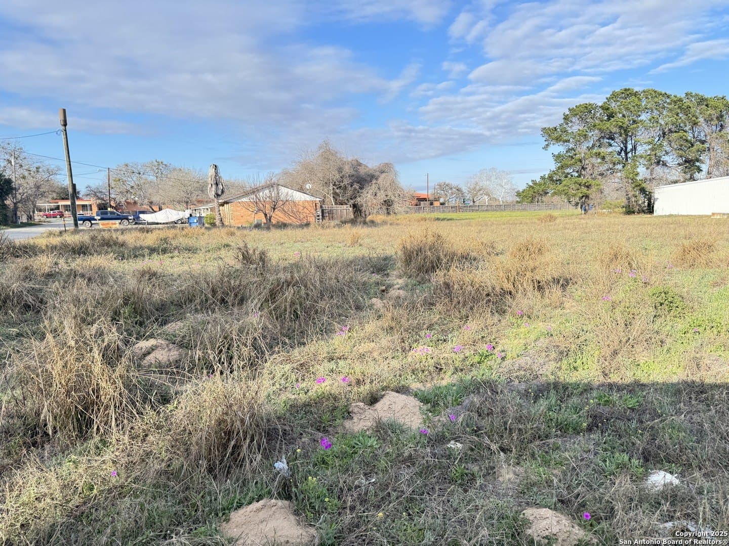 0.55 acres in Atascosa County - photo 3