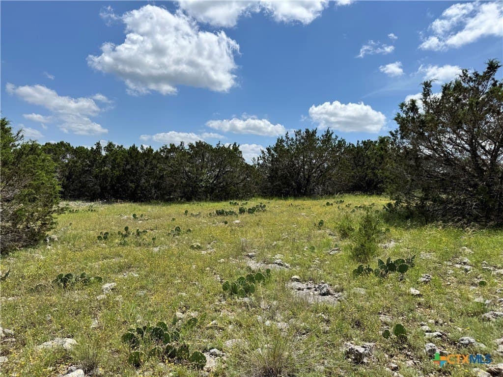 39.37 acres in Coryell County - photo 10