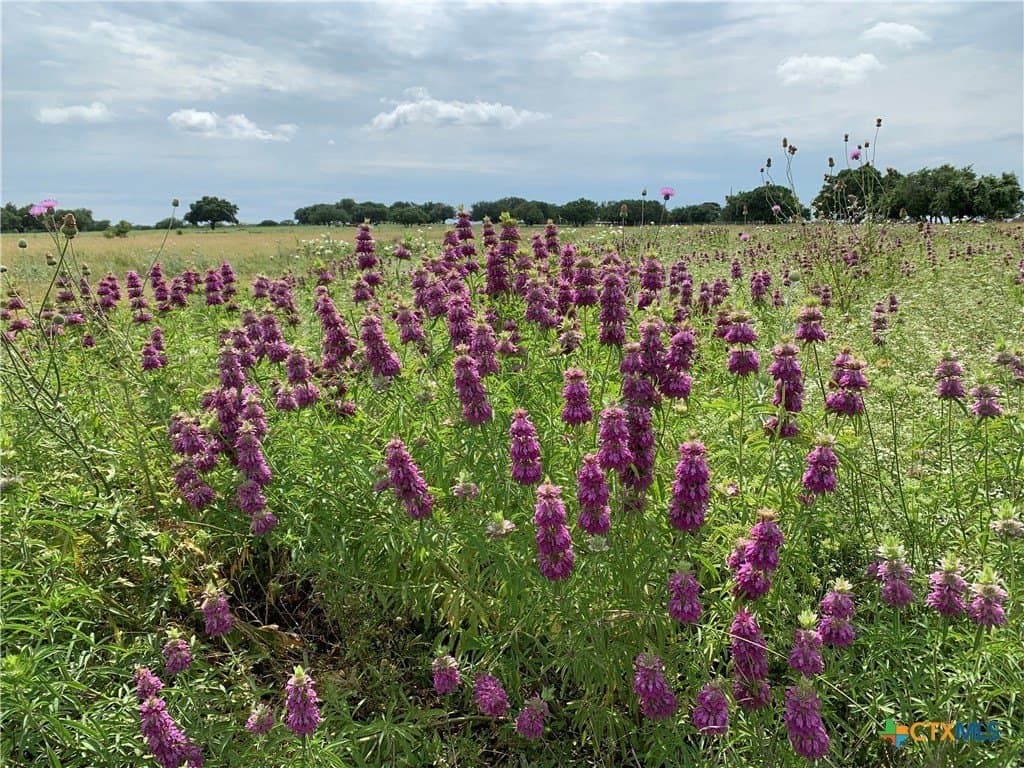 39.37 acres in Coryell County - photo 14