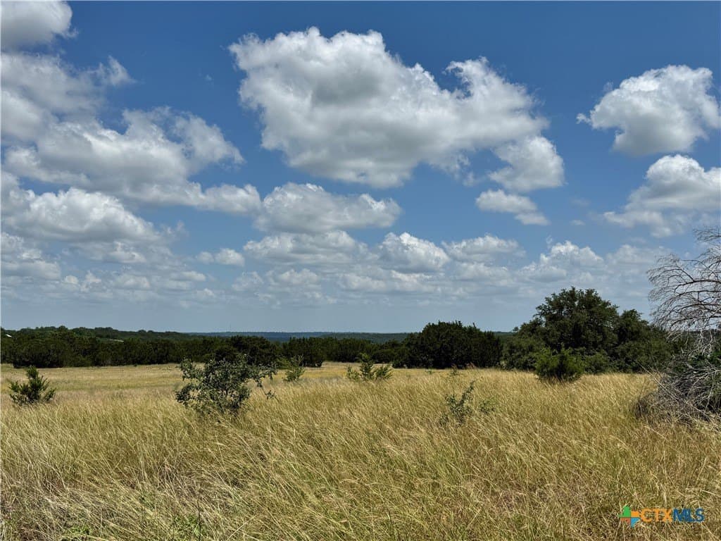 39.37 acres in Coryell County - photo 5