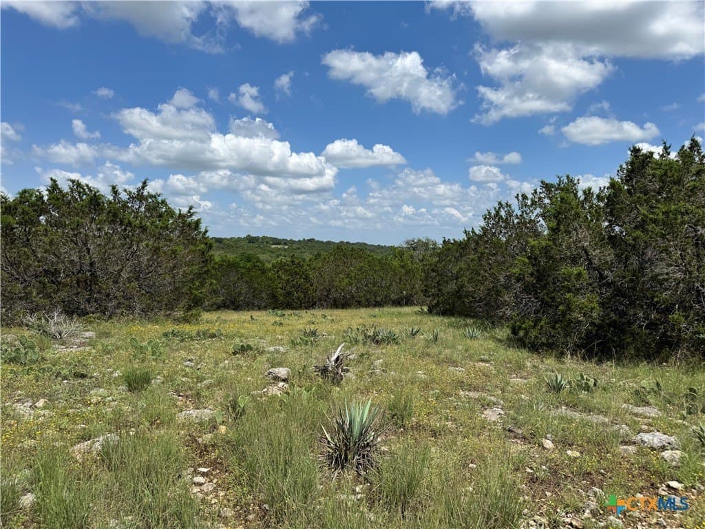 39.37 acres in Coryell County - photo 8