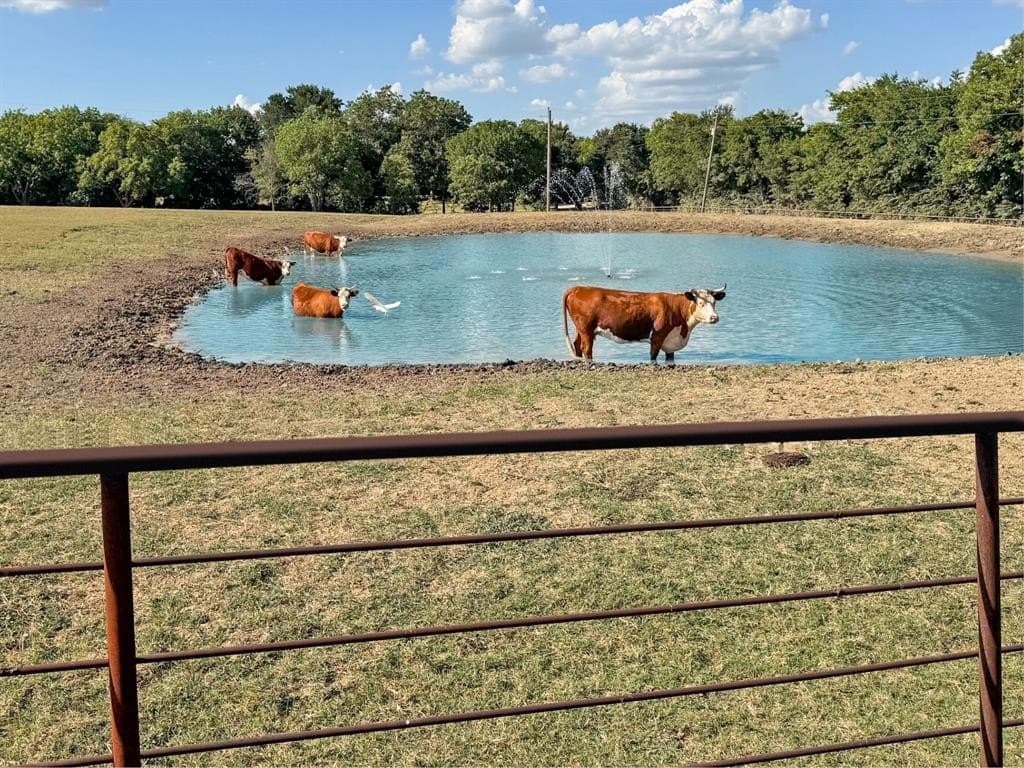 12.35 acres in Fannin County - photo 5