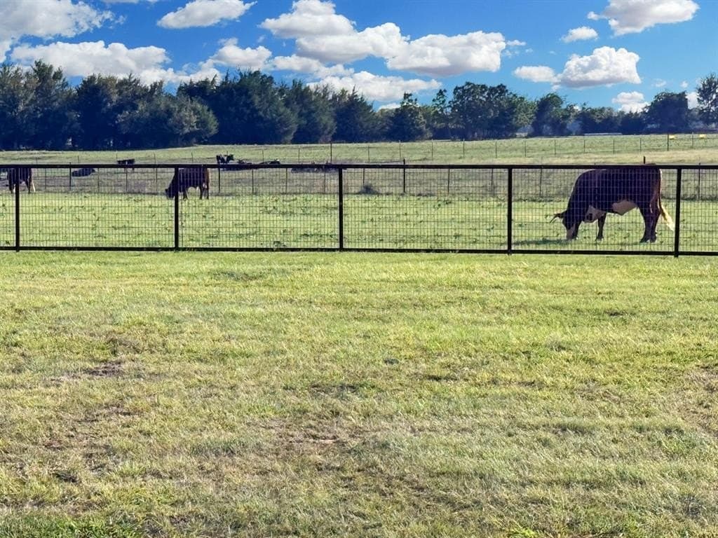 12.35 acres in Fannin County - photo 6