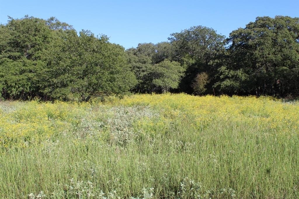 16.13 acres in Wise County - photo 2