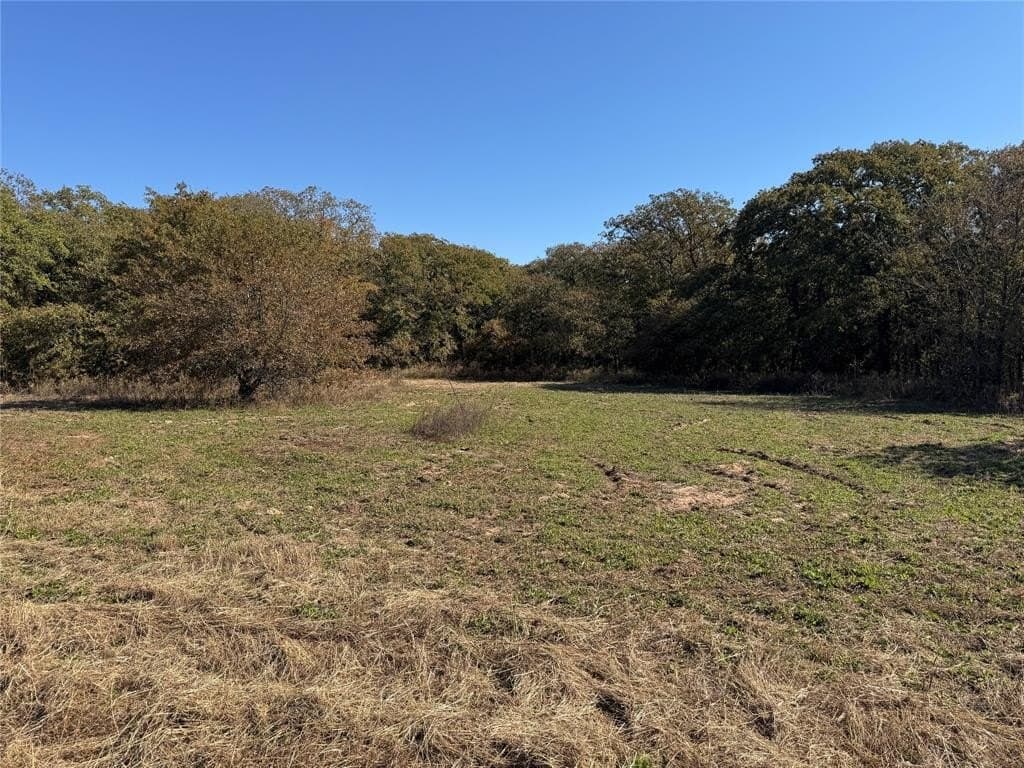 16.13 acres in Wise County - photo 4