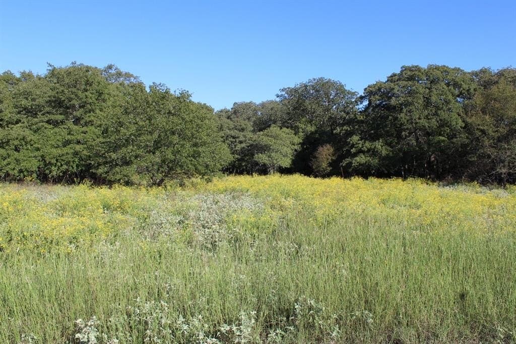 16.13 acres in Wise County - photo 3