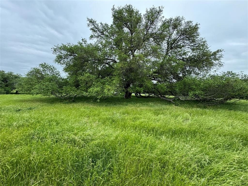 139.64 acres in Falls County - photo 18
