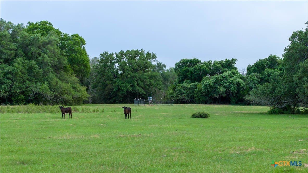 107.13 acres in Caldwell County - photo 4