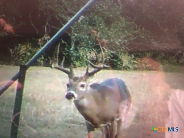 107.13 acres in Caldwell County - photo 17