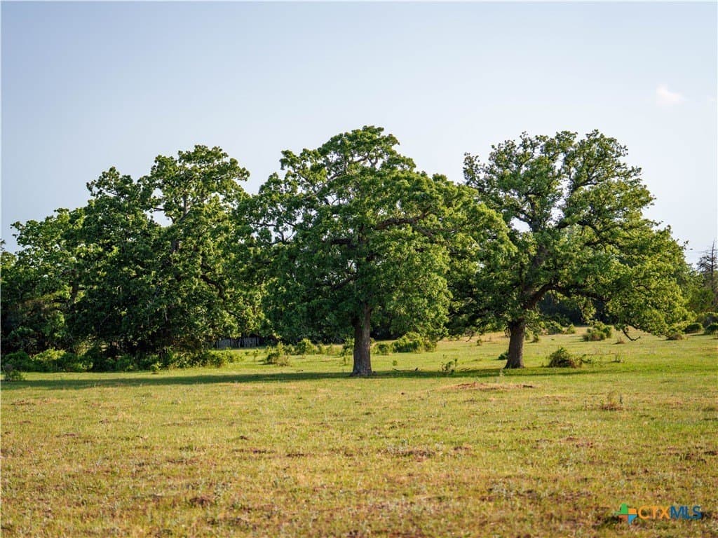 107.13 acres in Caldwell County - photo 21